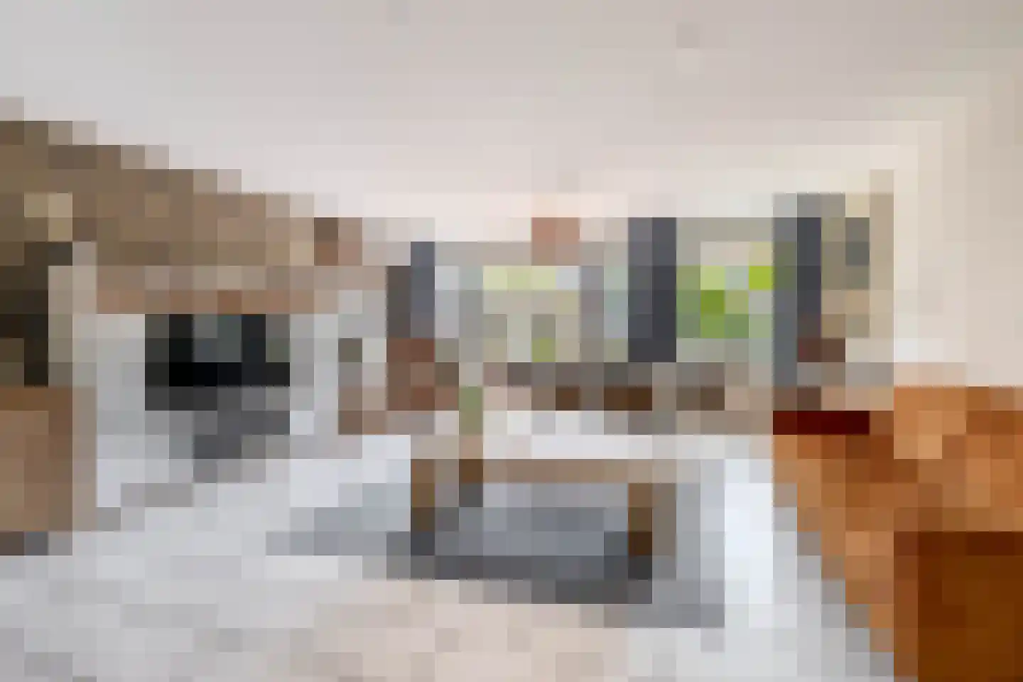 Thorbeckehoeve 2 Waddinxveen thumbnail 5