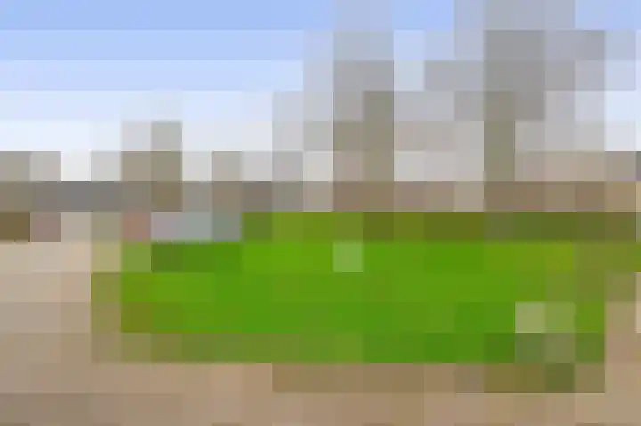 Thorbeckehoeve 22 Waddinxveen thumbnail 30