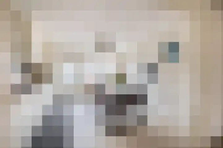 Thorbeckehoeve 22 Waddinxveen thumbnail 8