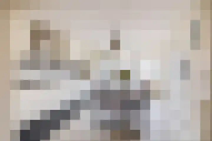 Thorbeckehoeve 22 Waddinxveen thumbnail 9