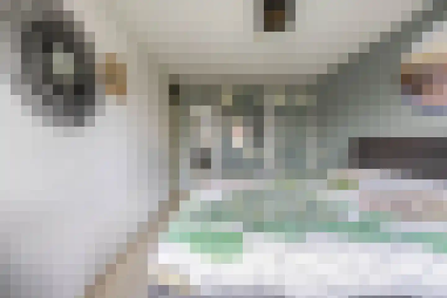 Thorbeckehoeve 31 Waddinxveen thumbnail 20
