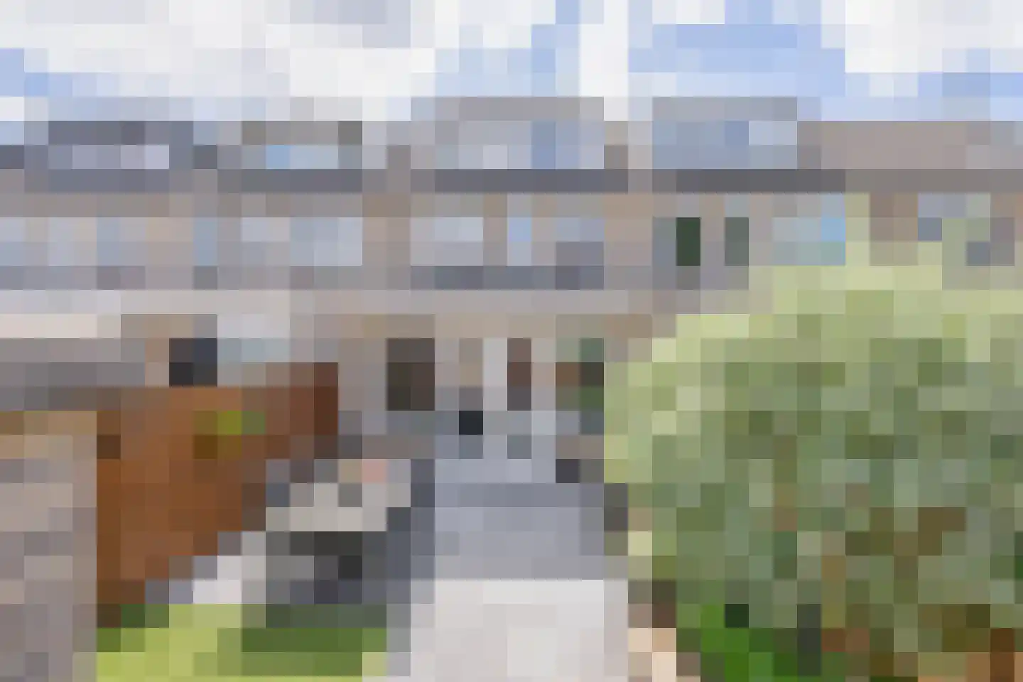 Thorbeckehoeve 31 Waddinxveen thumbnail 29
