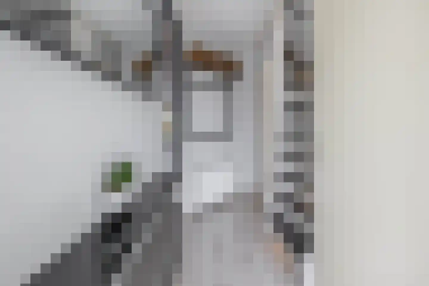 Thorbeckehoeve 31 Waddinxveen thumbnail 6