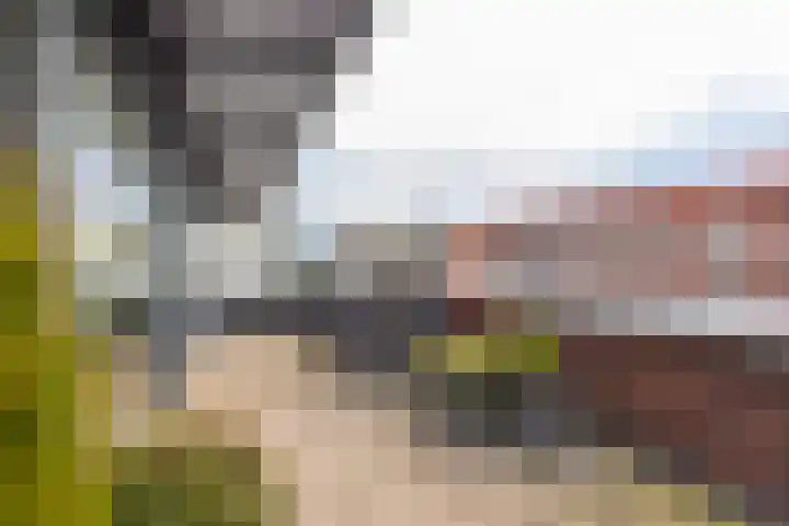 Thorbeckehof 42 Sliedrecht thumbnail 5