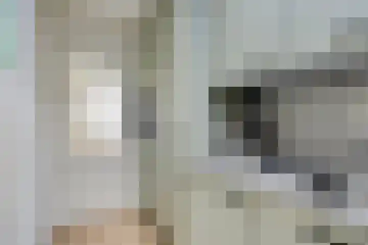 Thorbeckelaan 10 C Assen thumbnail 12