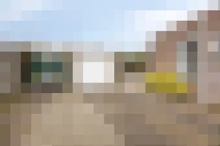 Thorbeckelaan 10 C Assen thumbnail 24