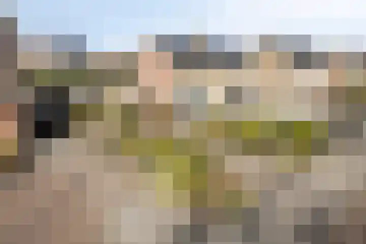 Thorbeckelaan 10 C Assen thumbnail 29