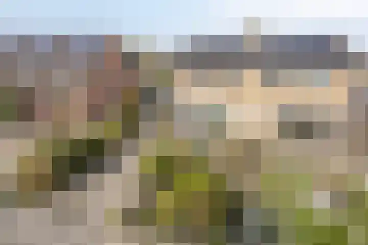 Thorbeckelaan 10 C Assen thumbnail 30