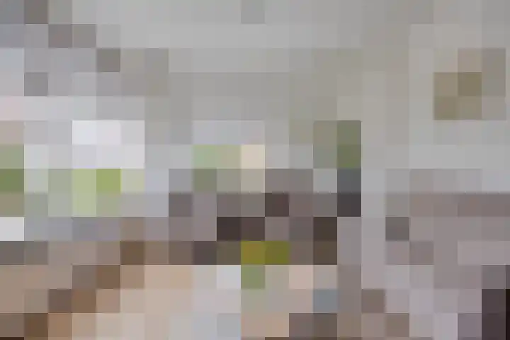 Thorbeckelaan 10 C Assen thumbnail 6