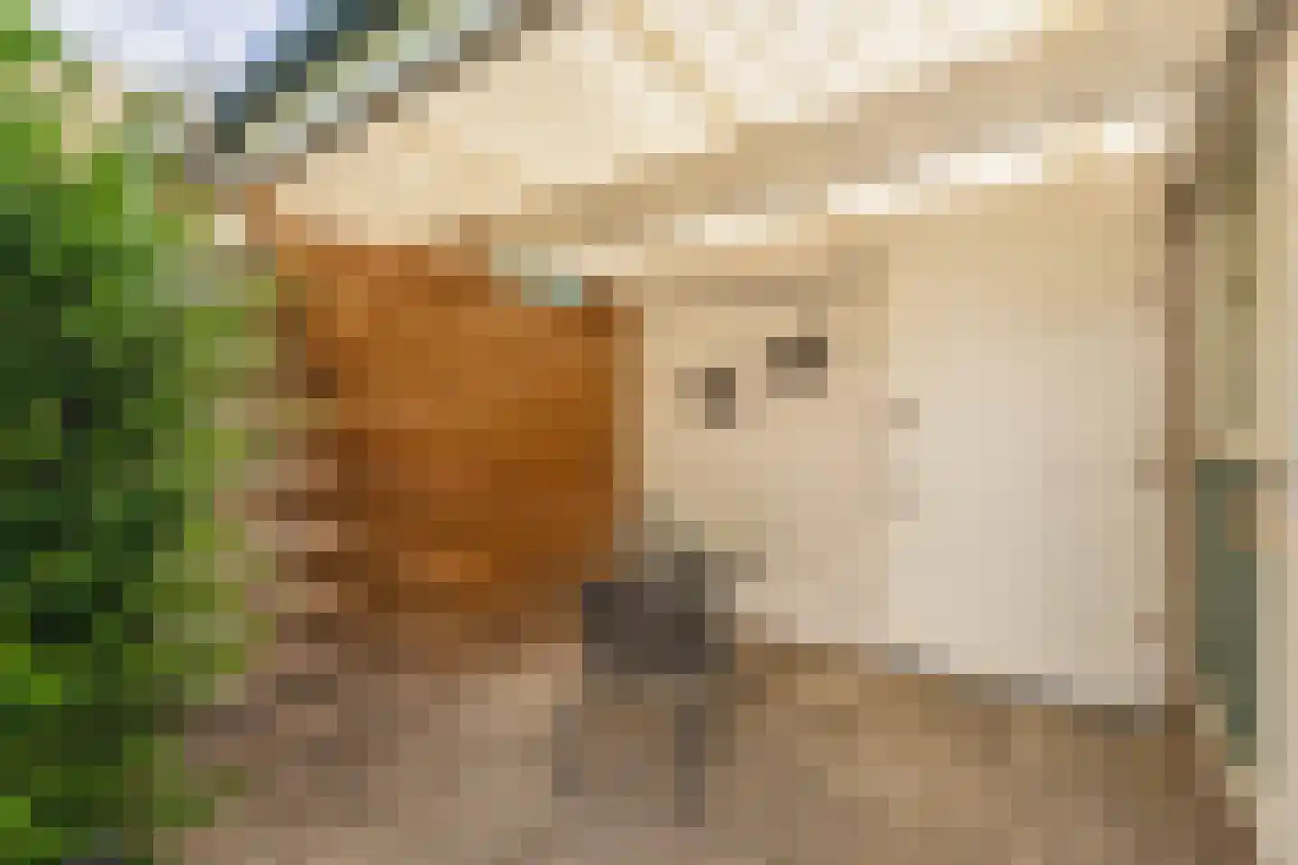 Thorbeckelaan 10 Hillegom thumbnail 10