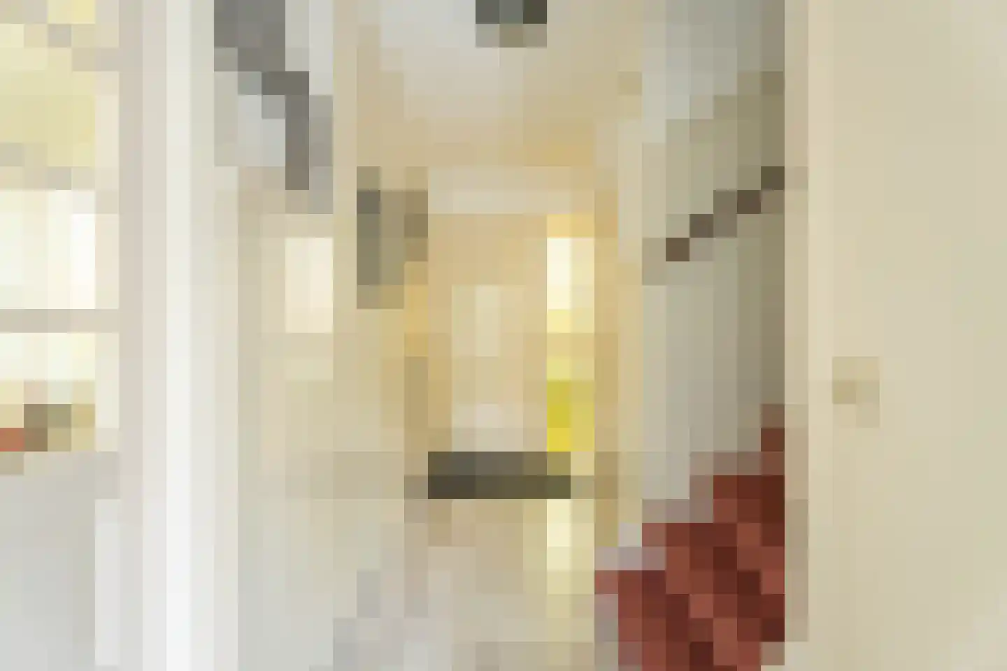 Thorbeckelaan 10 Hillegom thumbnail 12