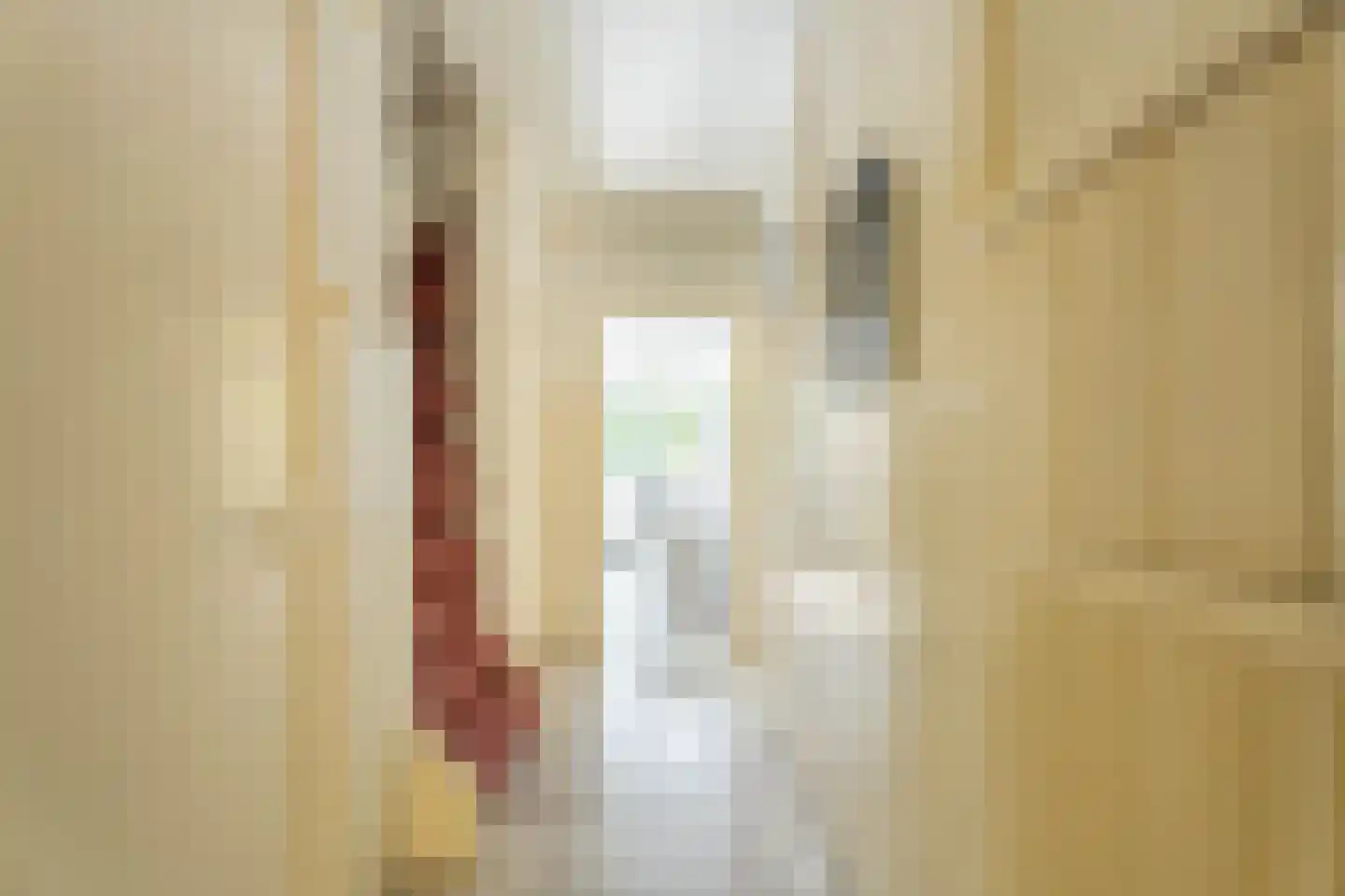 Thorbeckelaan 10 Hillegom thumbnail 13