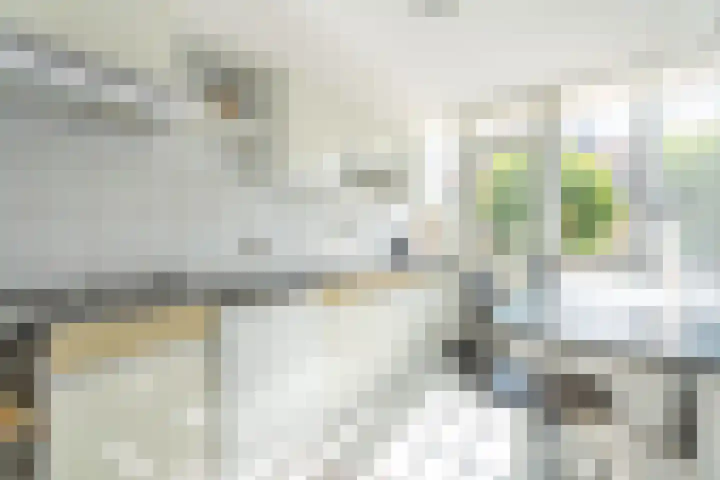 Thorbeckelaan 10 Hillegom thumbnail 7
