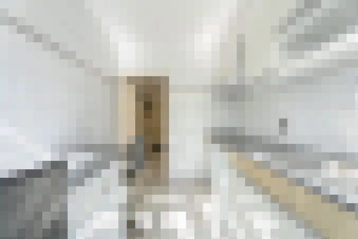 Thorbeckelaan 10 Hillegom thumbnail 8