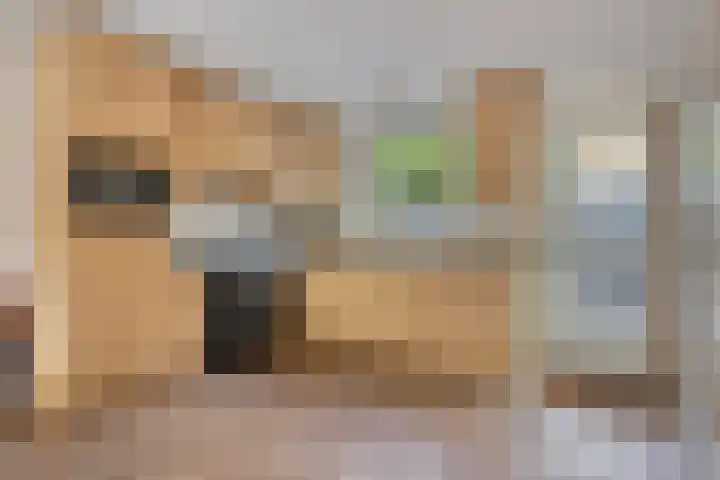 Thorbeckelaan 10 Maarssen thumbnail 12