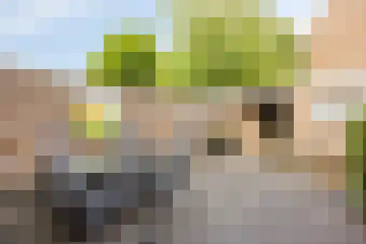 Thorbeckelaan 10 Maarssen thumbnail 26