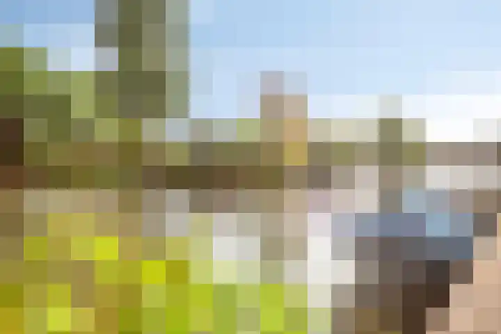 Thorbeckelaan 10 Maarssen thumbnail 27