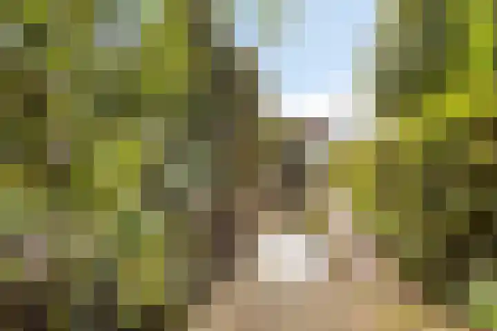 Thorbeckelaan 10 Maarssen thumbnail 28