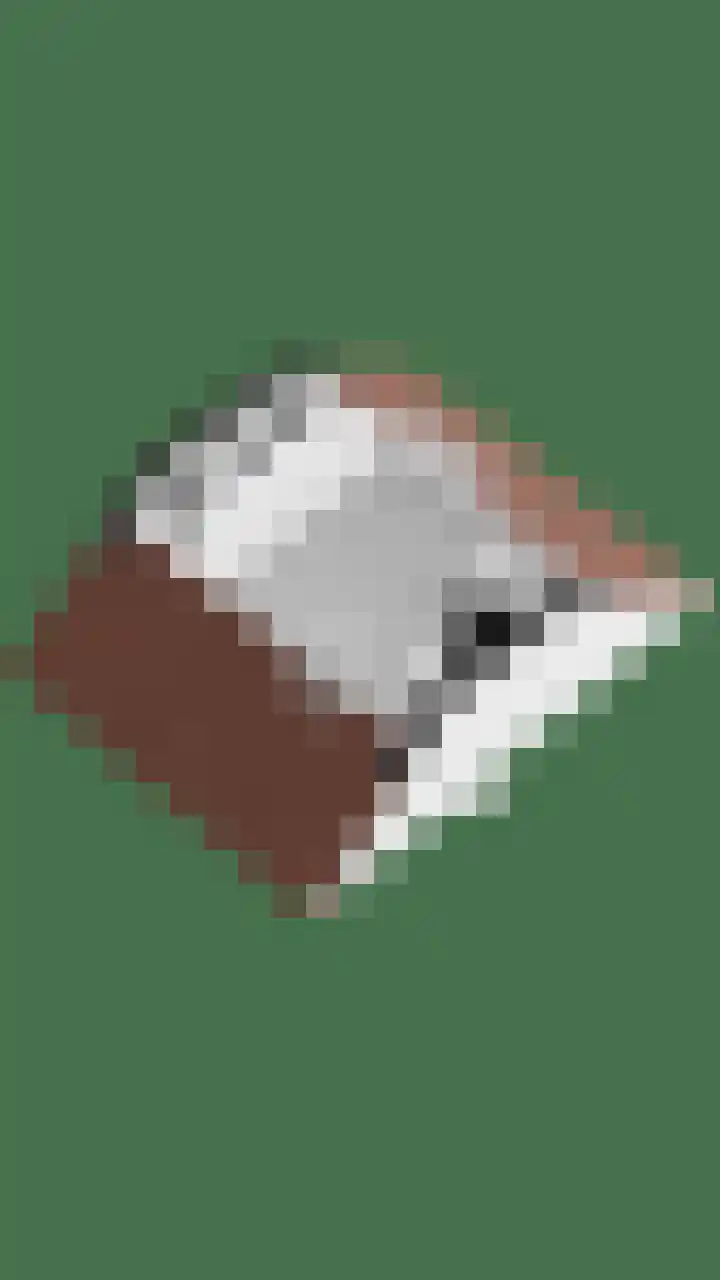 Thorbeckelaan 10 Maarssen thumbnail 36