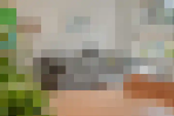 Thorbeckelaan 10 Maarssen thumbnail 8