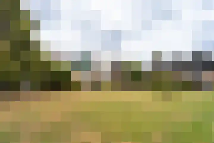 Thorbeckelaan 101 Naarden foto 2