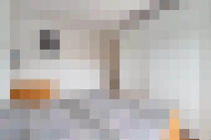 Thorbeckelaan 101 Naarden thumbnail 22