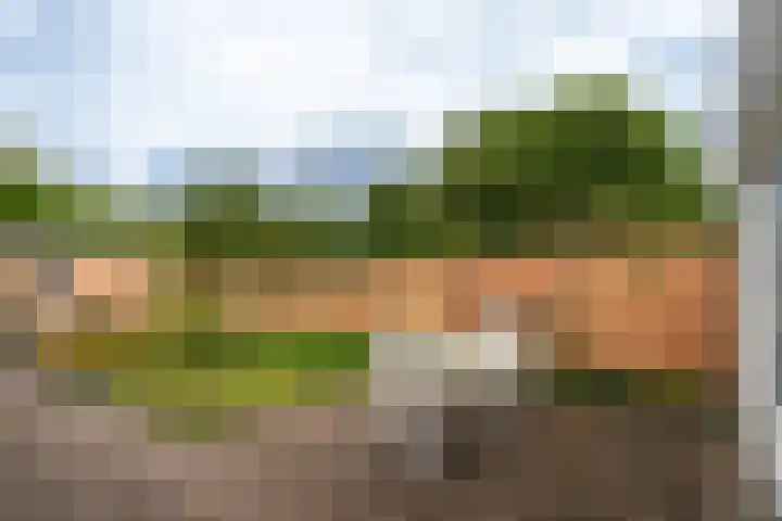 Thorbeckelaan 101 Naarden thumbnail 35