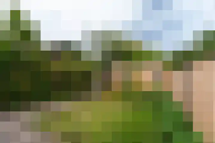 Thorbeckelaan 101 Naarden thumbnail 37