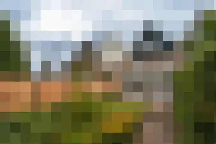 Thorbeckelaan 101 Naarden thumbnail 39
