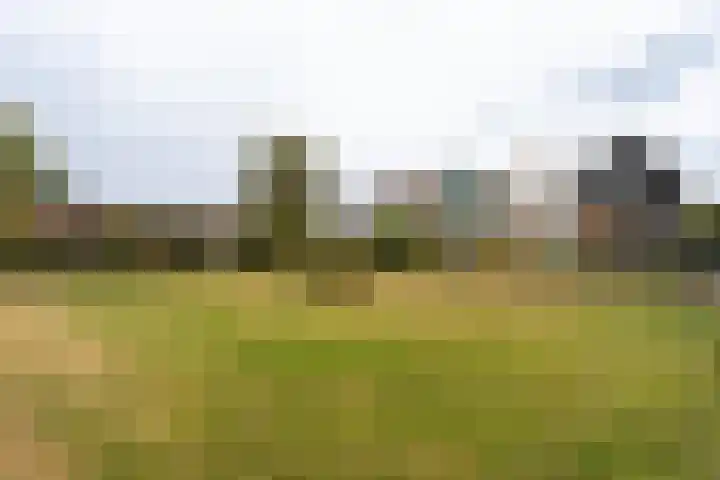 Thorbeckelaan 101 Naarden thumbnail 43