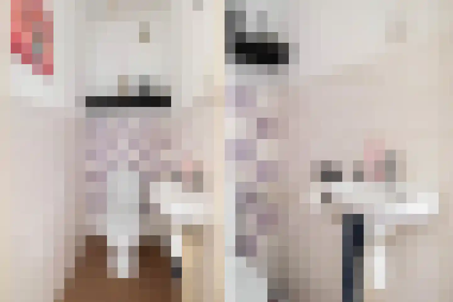 Thorbeckelaan 101 Pijnacker thumbnail 10