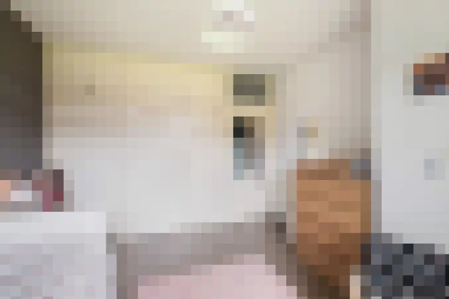 Thorbeckelaan 101 Pijnacker thumbnail 12