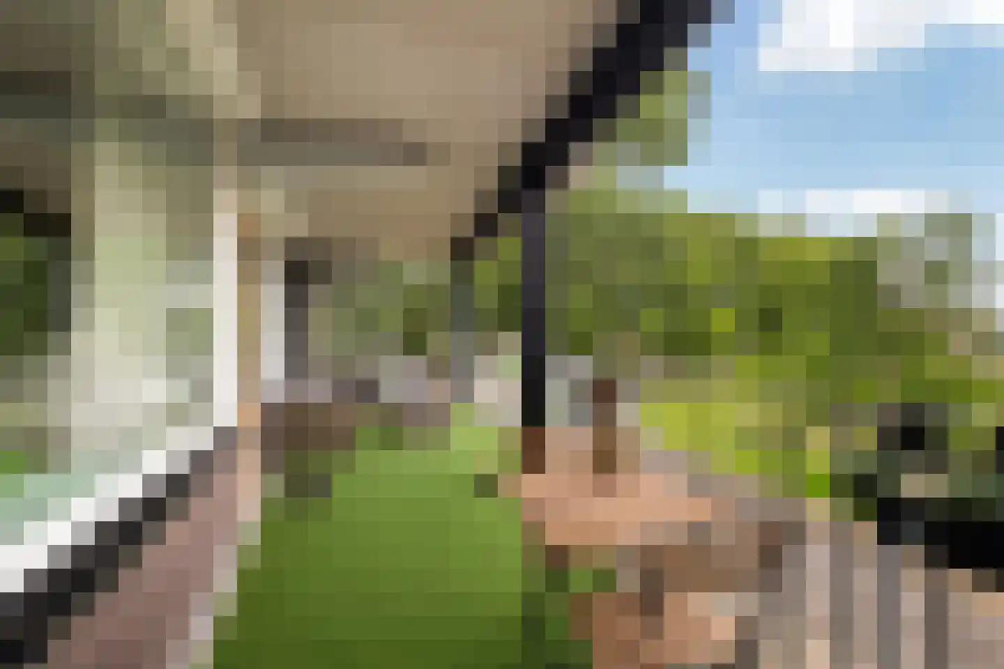 Thorbeckelaan 101 Pijnacker thumbnail 15