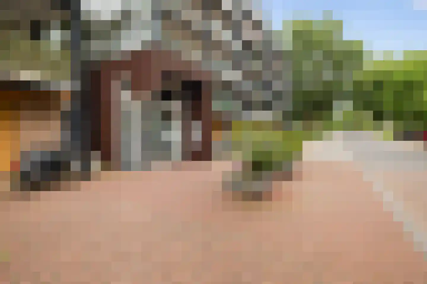 Thorbeckelaan 101 Pijnacker thumbnail 19