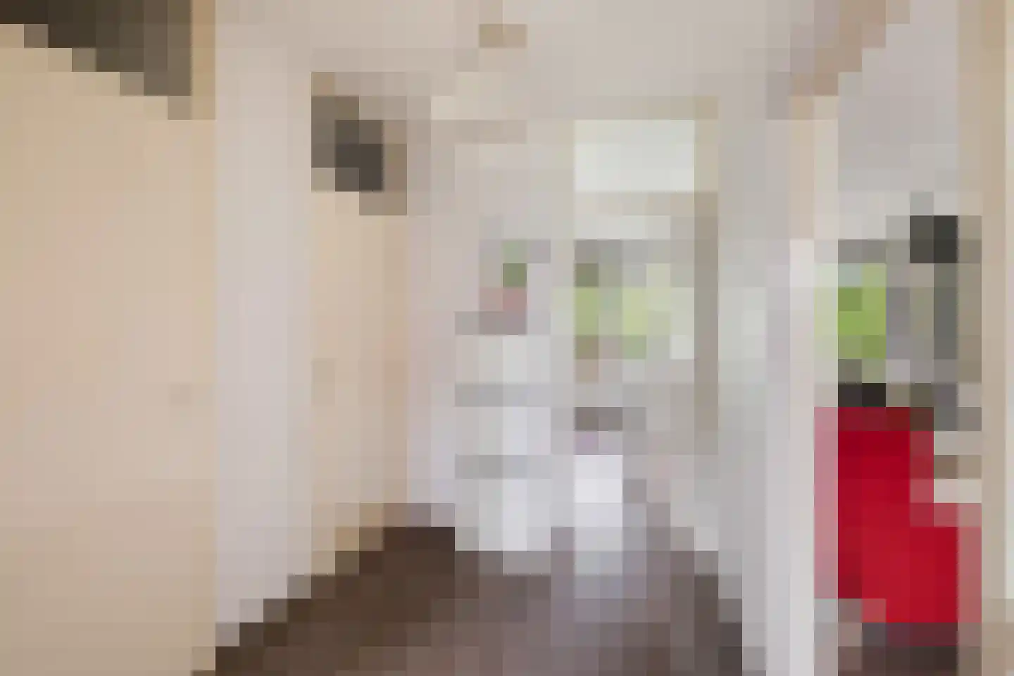 Thorbeckelaan 101 Pijnacker thumbnail 6