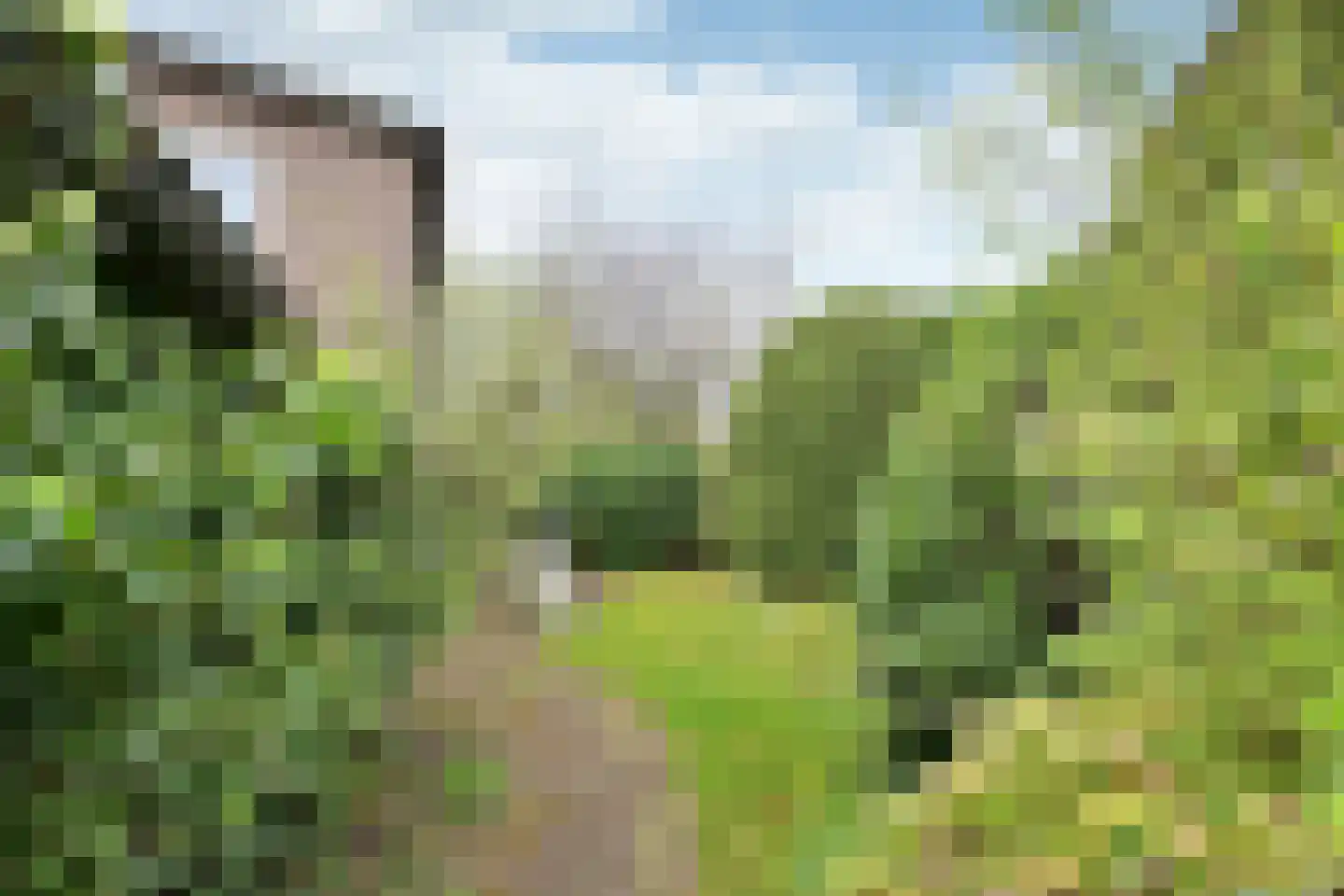 Thorbeckelaan 107 Naarden thumbnail 7