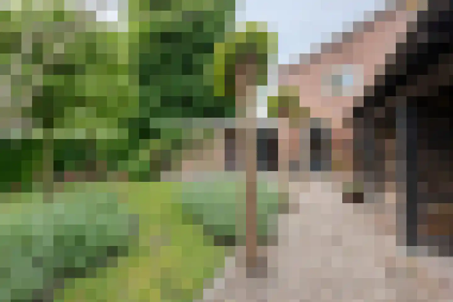 Thorbeckelaan 108 Barneveld thumbnail 7