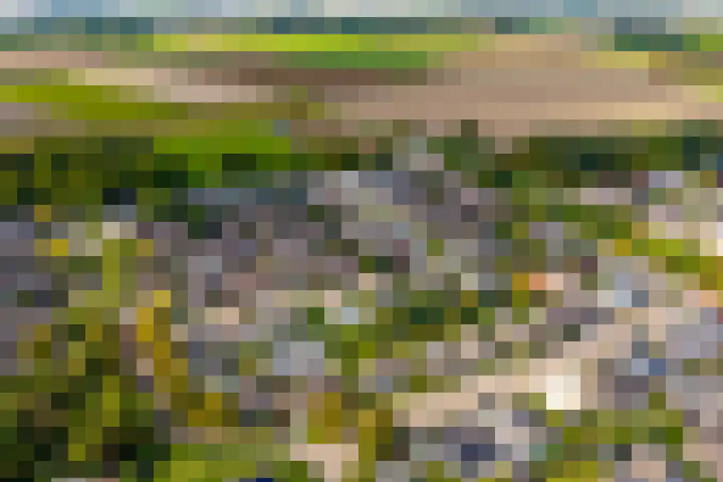 Thorbeckelaan 11 Axel thumbnail 7