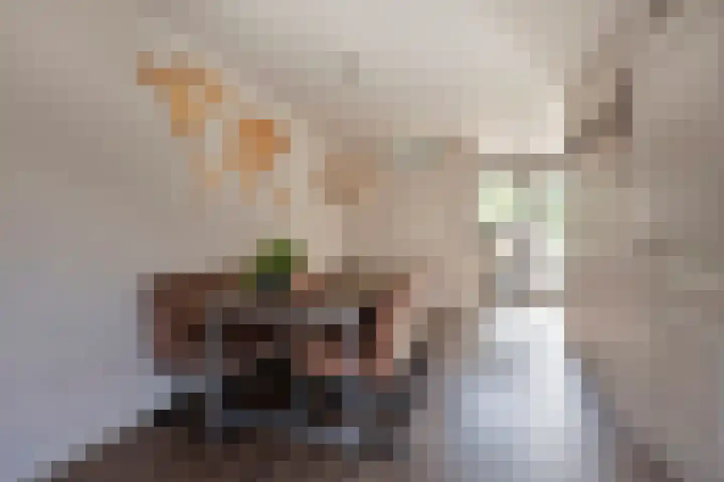 Thorbeckelaan 11 Kampen thumbnail 19