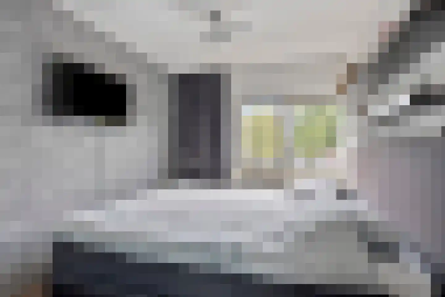 Thorbeckelaan 11 Kampen thumbnail 28