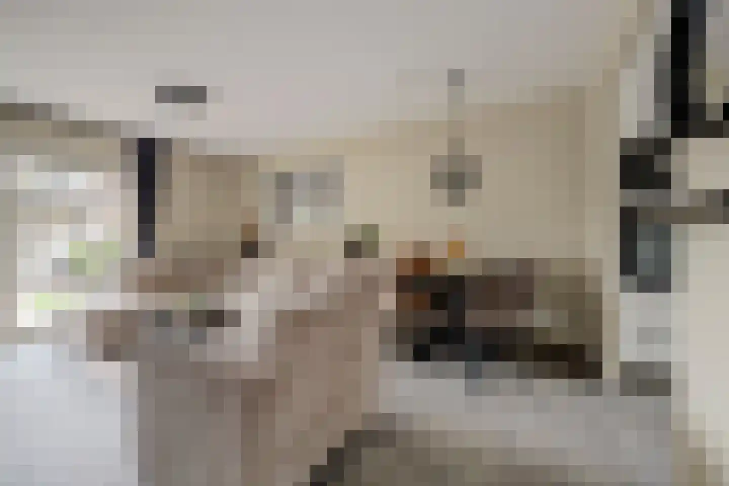 Thorbeckelaan 11 Spijkenisse thumbnail 10