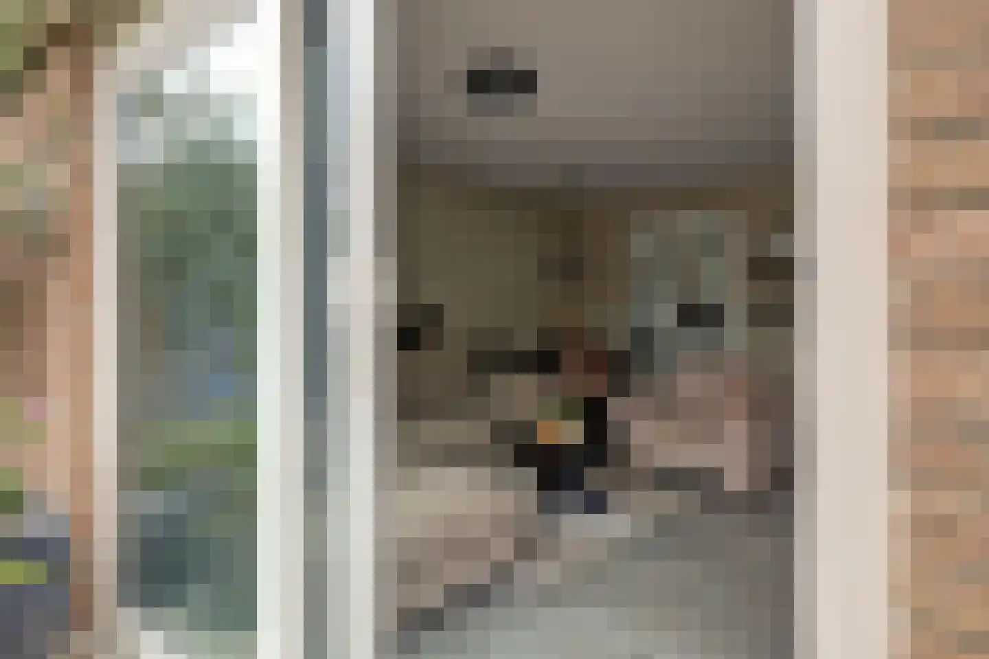 Thorbeckelaan 11 Spijkenisse thumbnail 13