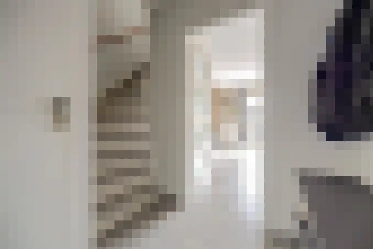 Thorbeckelaan 11 Spijkenisse thumbnail 18