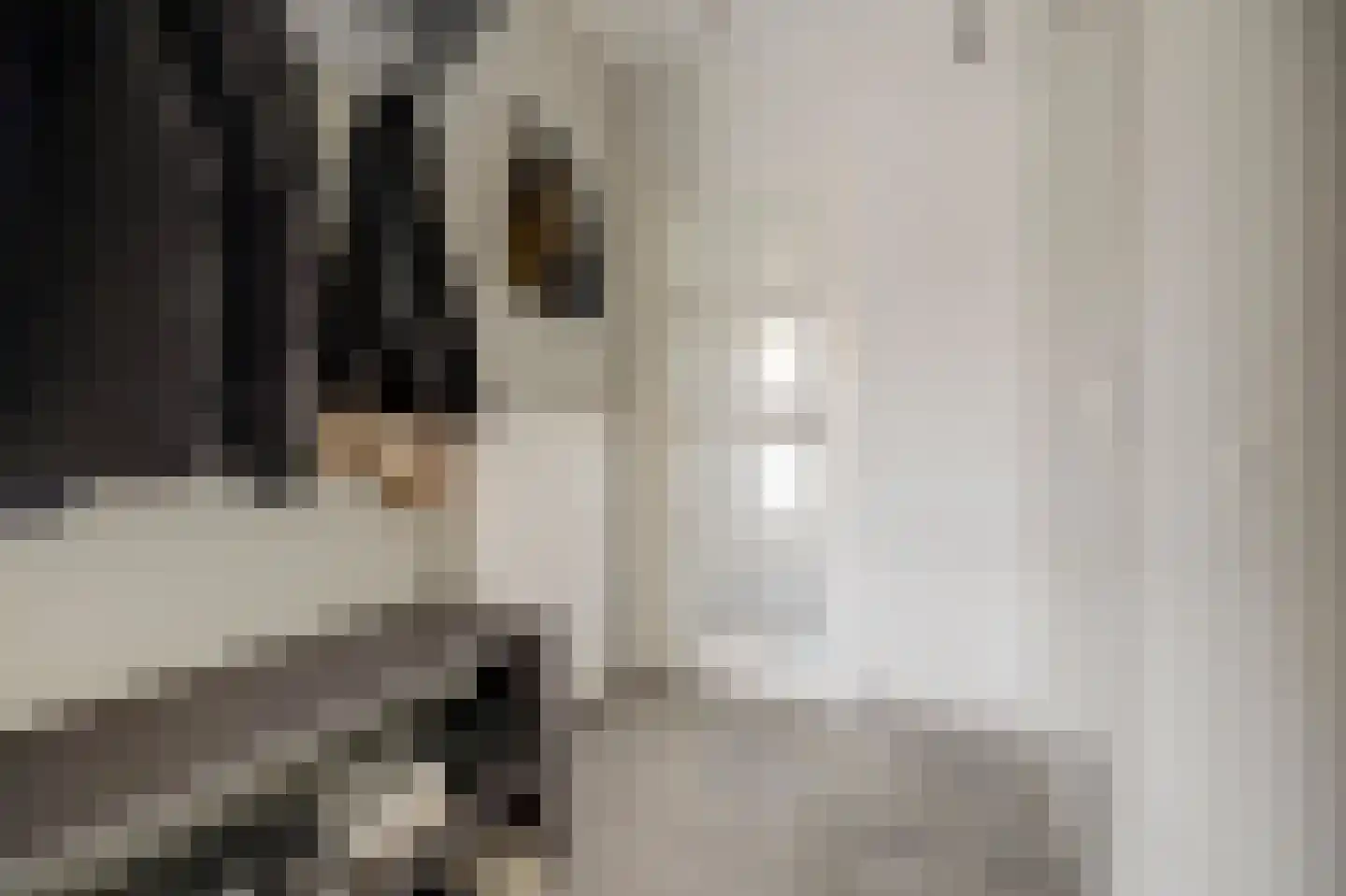 Thorbeckelaan 11 Spijkenisse thumbnail 20