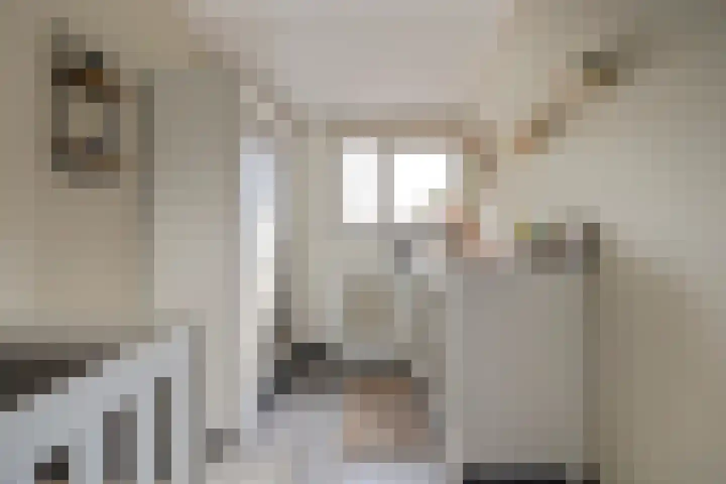 Thorbeckelaan 11 Spijkenisse thumbnail 29