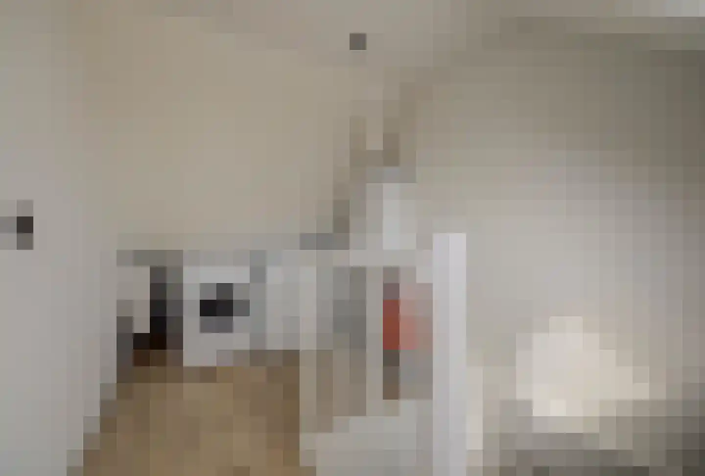 Thorbeckelaan 11 Spijkenisse thumbnail 33