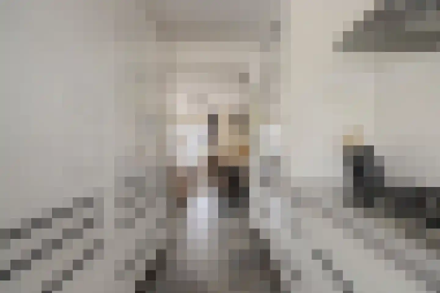 Thorbeckelaan 11 Spijkenisse thumbnail 4