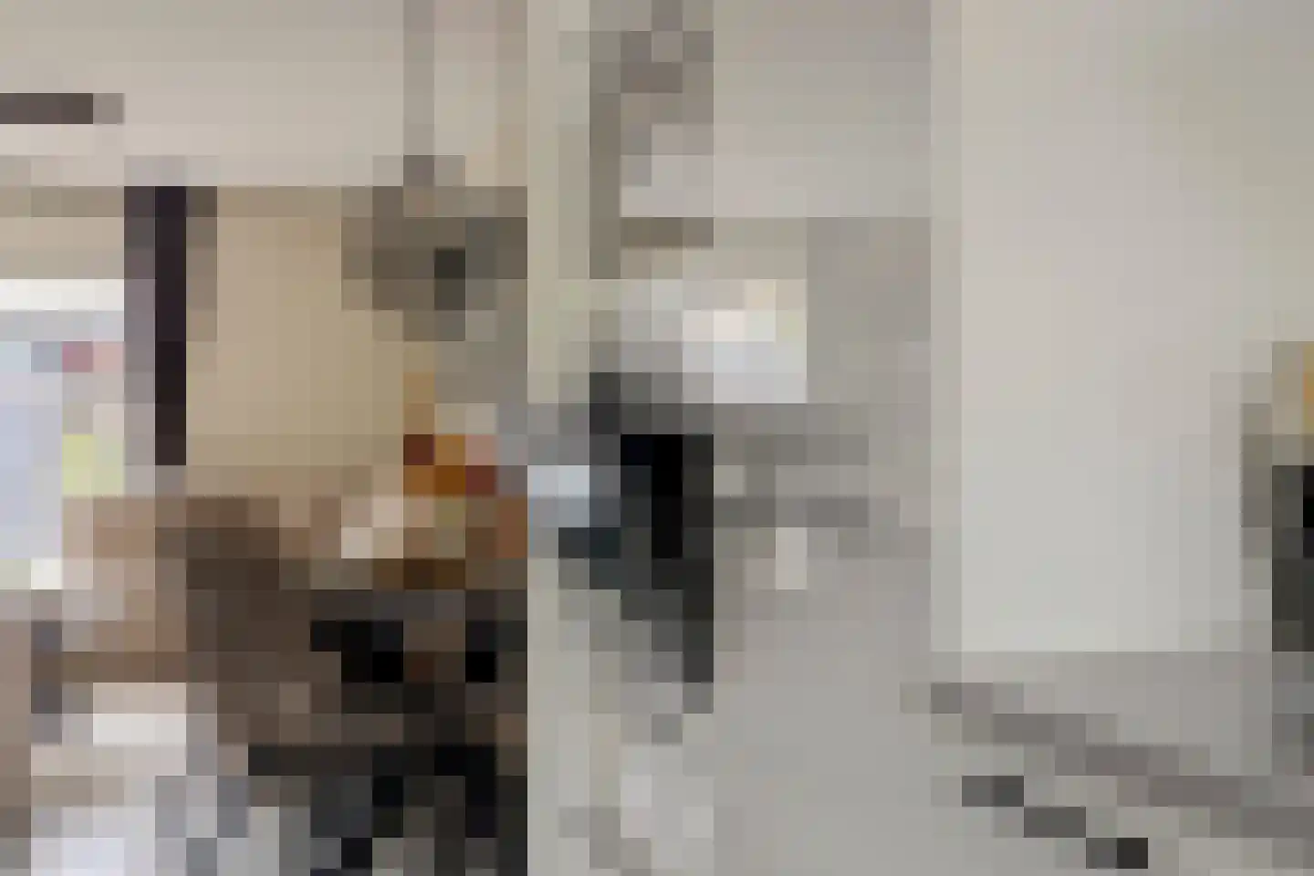 Thorbeckelaan 11 Spijkenisse thumbnail 5