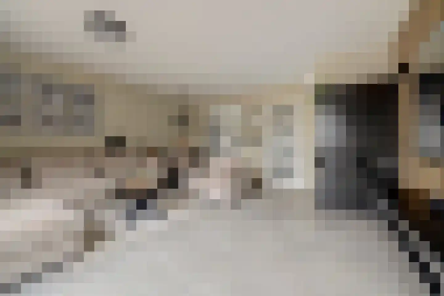 Thorbeckelaan 11 Spijkenisse thumbnail 7
