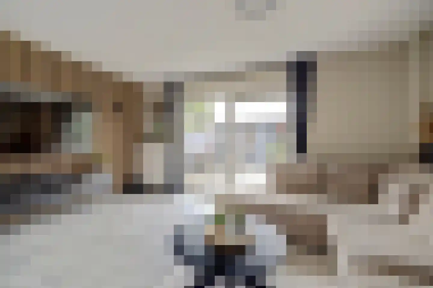Thorbeckelaan 11 Spijkenisse thumbnail 9